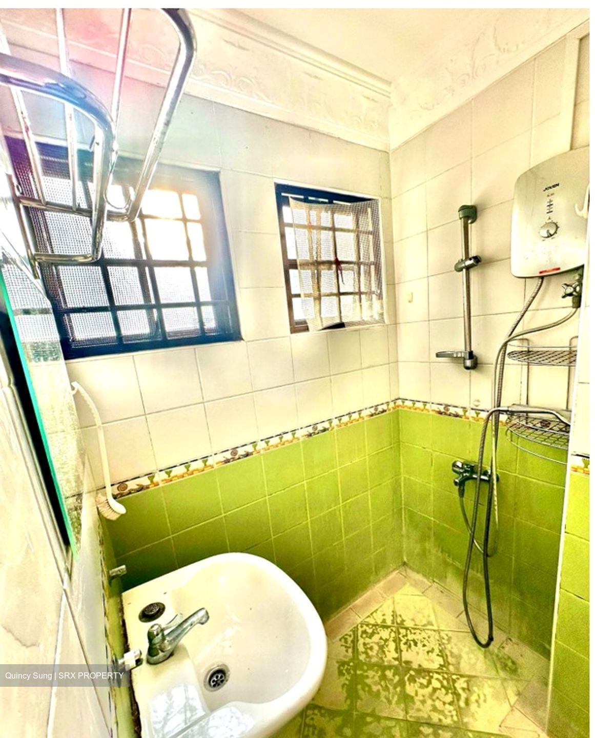 Joo Chiat Terrace (D15), Terrace #550312201